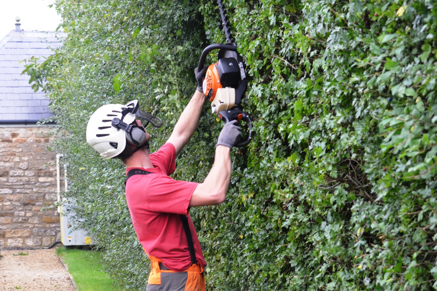 Hedge Cutting and Pruning - Warrington, Cheshire